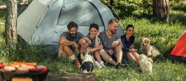 Freunde mit Hunden beim Camping