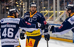 EVZ Sponsoring EVZ Sponsoring