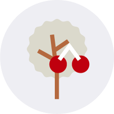 Icon Kundinnen