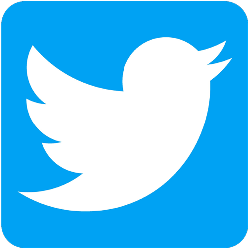 Twitter Logo