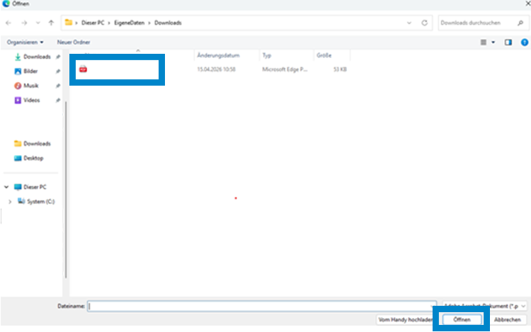 Screenshot eSteuerauszug PDF Dokument