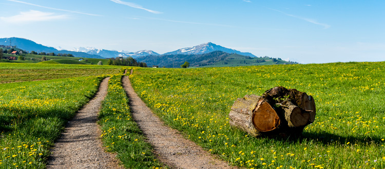 Zuger Landschaft