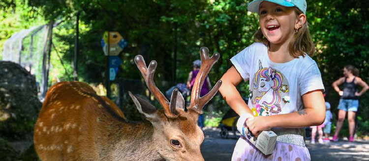 Mädchen füttert Reh