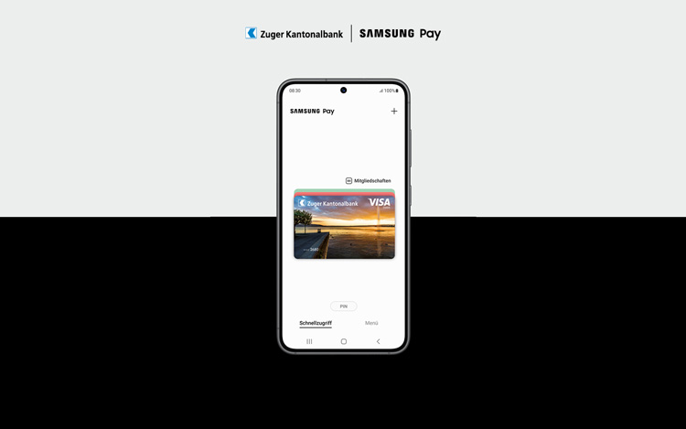 Samsung-Pay-Standard