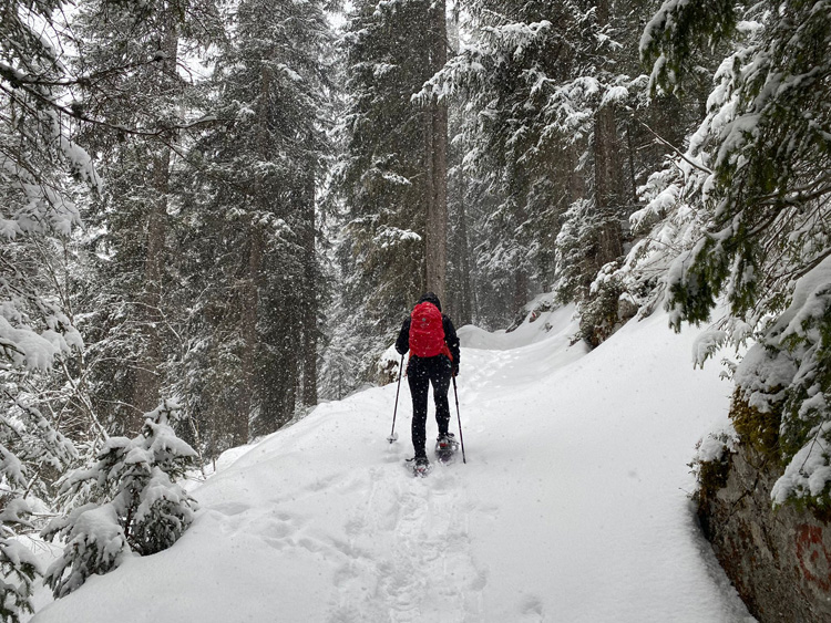 &lt;p&gt;Schneeschuhlaufen nur bei Sonnenschein? Nicht f&amp;uuml;r Manuela. Bei Schneefall und einer frischen Brise im Gesicht heckt sie bestimmt f&amp;uuml;r den n&amp;auml;chsten Christchindlim&amp;auml;rcht eine neue Idee aus.&lt;/p&gt;