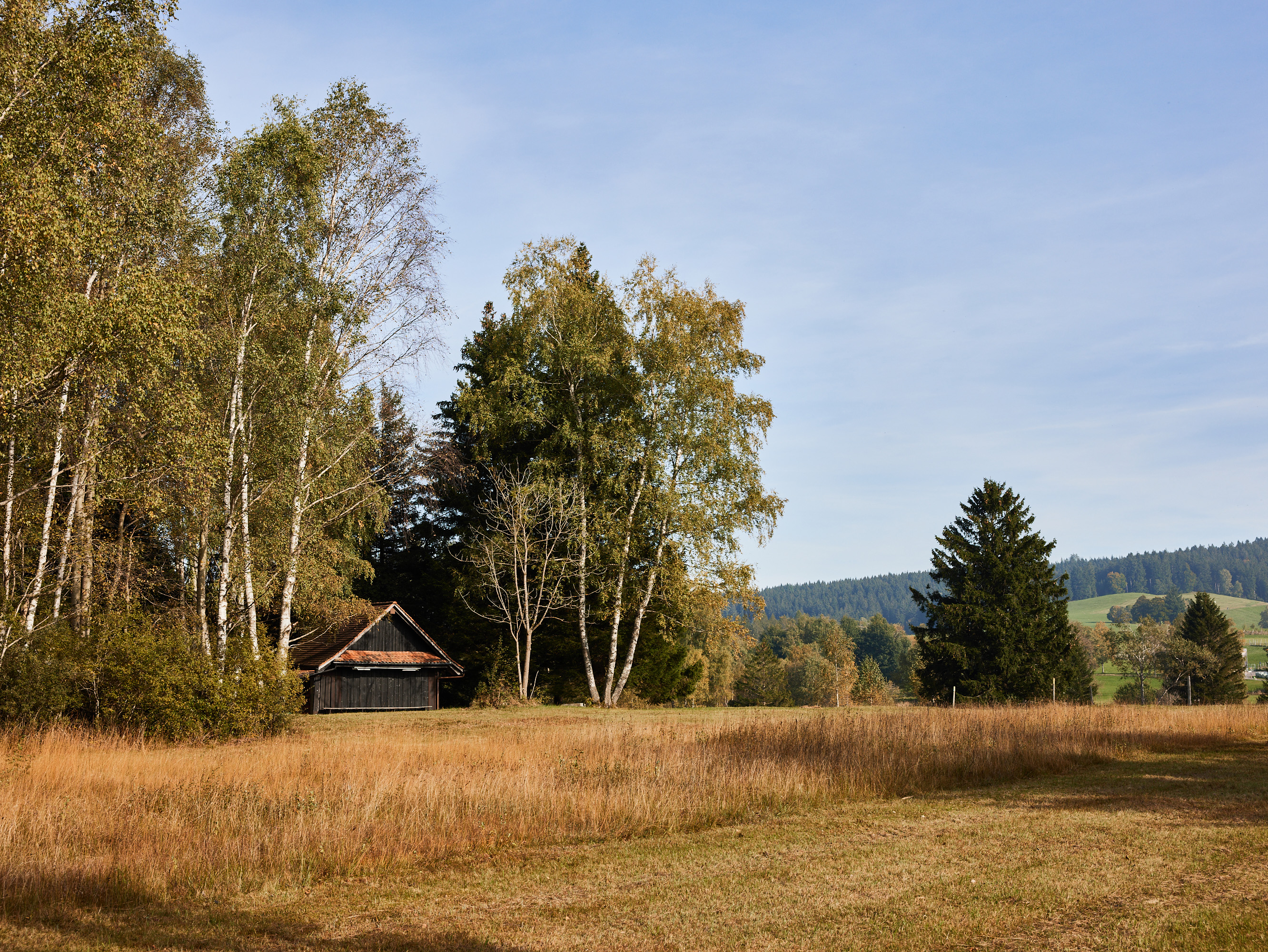 Mit den ausgedehnten Hoch- und Flachmooren geh&amp;ouml;rt der Zugerberg zu den bedeutendsten Moorlandschaften der Schweiz.